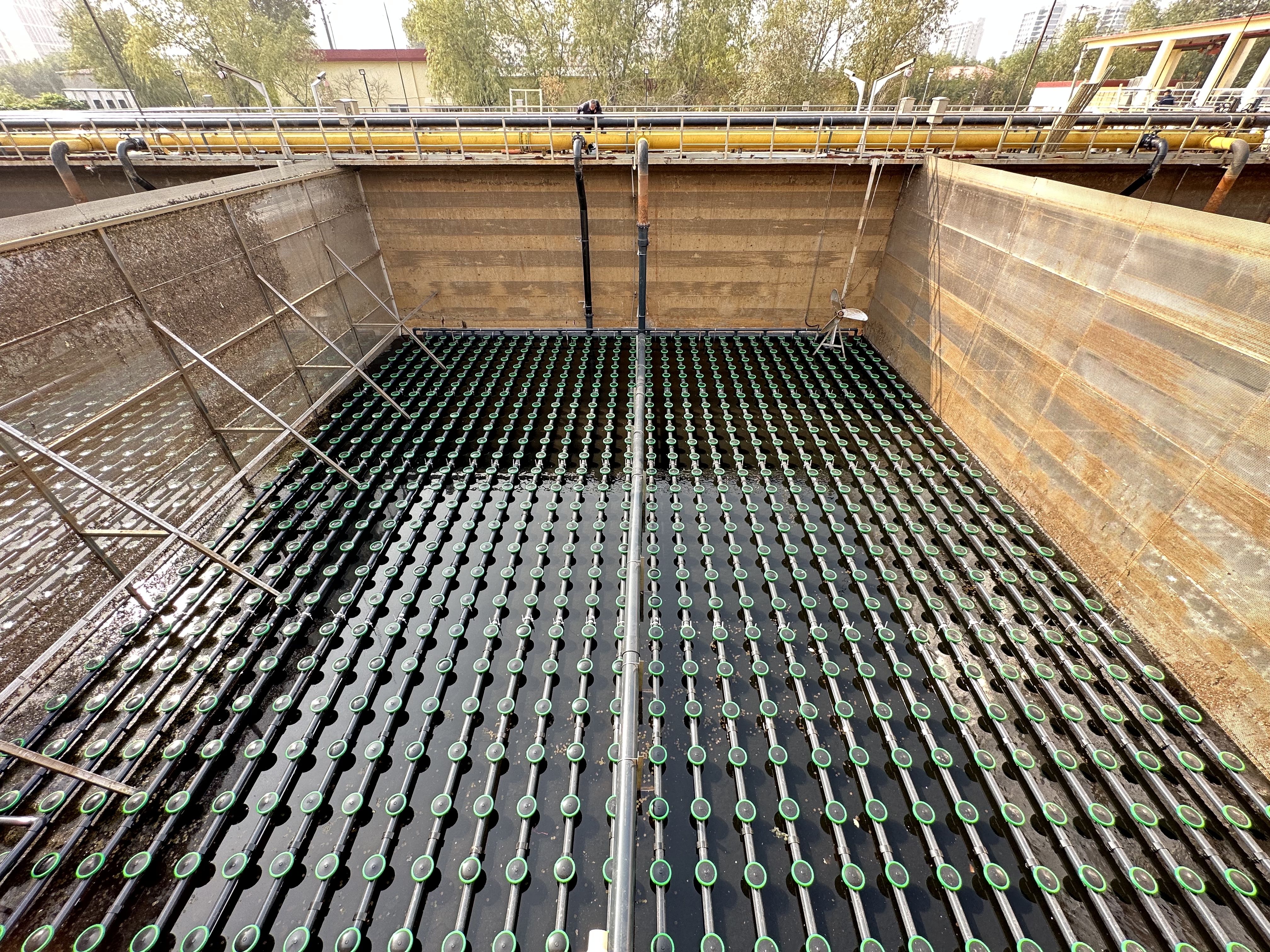 微信图片_20241031082059