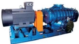 Three-lobe Roots Blower