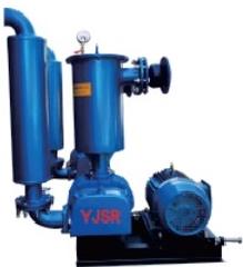 Three-lobe Roots Blower